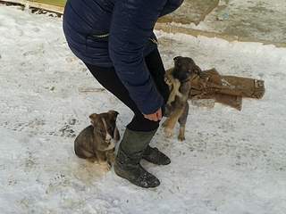 1920 X 1440 1006.8 Kb 1280 X 960 211.2 Kb 1280 X 1024 213.3 Kb SOS   ,     