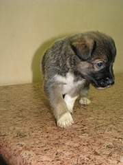 1920 X 2560 991.6 Kb  