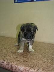 1920 X 2560 834.8 Kb 1920 X 2560 991.6 Kb  