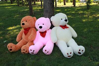 1556 X 1037 606.4 Kb 1365 X 2048 392.1 Kb 1920 X 2033 540.8 Kb 1920 X 1576 383.5 Kb , ,   . 