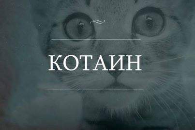 403 x 268 Улыбнемся?
