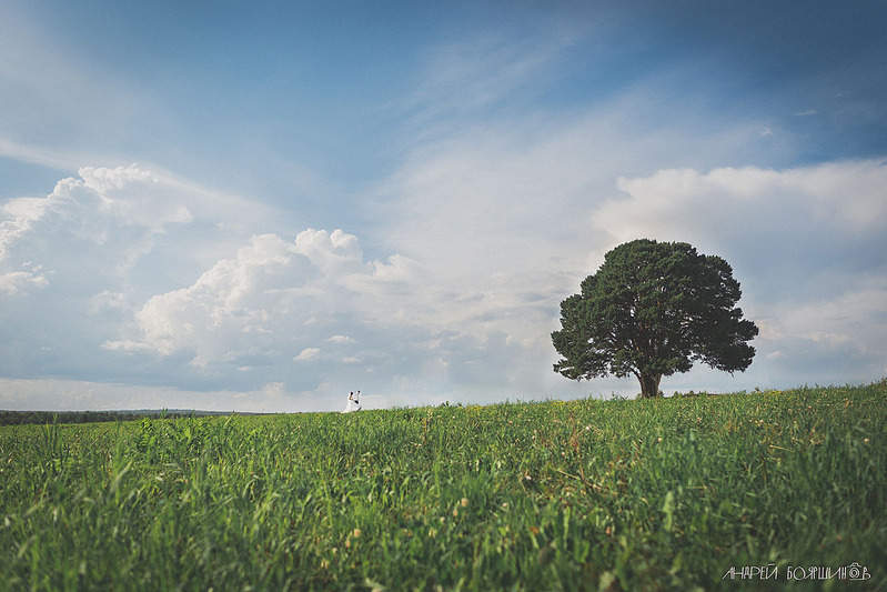 1280 X 854 212.1 Kb 1280 X 848 130.5 Kb 1280 X 848 287.5 Kb  . . boyarshinov.com