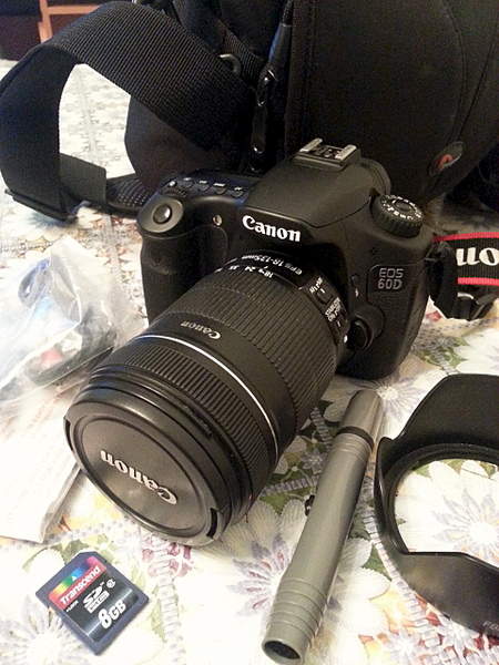 1920 X 2560 359.0 Kb Canon EOS-60D Kit 18-135mm ()