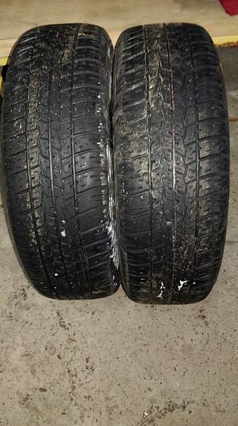 1920 X 3424 500.4 Kb 1920 X 1076 642.8 Kb 1920 X 1076 601.4 Kb       r 13 