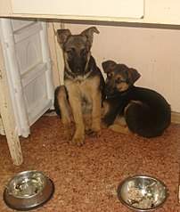 865 X 1024 160.5 Kb 1280 X 960 163.8 Kb 1066 X 1024 168.4 Kb  