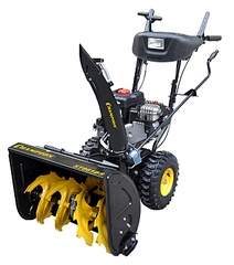 708 X 800 284.1 Kb  Champion    Briggs & Stratton!