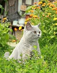 1920 X 2454 880.3 Kb 1919 X 1368 588.0 Kb �������� ���������� ������� � ����������� 7000�.