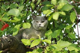 1024 X 683 404.9 Kb 1920 X 1280 706.6 Kb 1920 X 2454 880.3 Kb 1919 X 1368 588.0 Kb �������� ���������� ������� � ����������� 7000�.