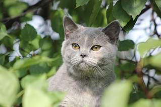 1024 X 683 274.7 Kb 1024 X 683 404.9 Kb 1920 X 1280 706.6 Kb 1920 X 2454 880.3 Kb 1919 X 1368 588.0 Kb �������� ���������� ������� � ����������� 7000�.