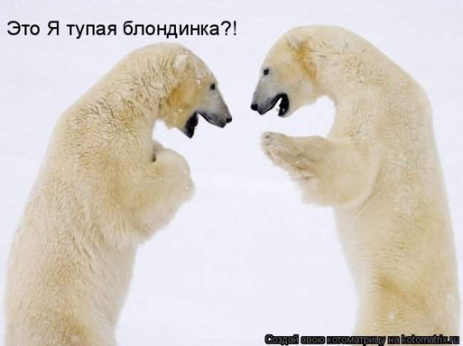 650 x 486 Улыбнемся?