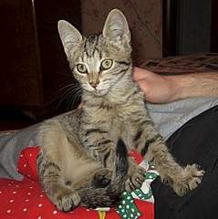 1919 X 1923 792.1 Kb    ,  