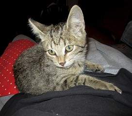 1919 X 1692 558.5 Kb 1919 X 1923 792.1 Kb    ,  