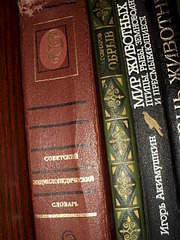 1920 X 2560 596.8 Kb 1920 X 1440 746.3 Kb    .