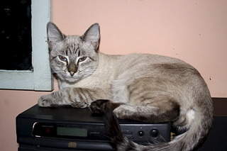 1920 X 1280 390.6 Kb     