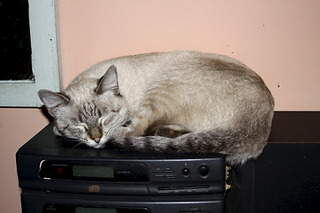 1920 X 1280 396.6 Kb 1920 X 1280 390.6 Kb     