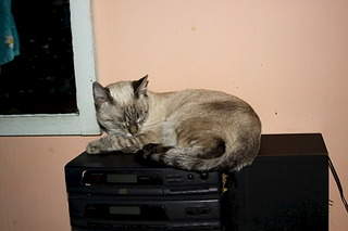 1920 X 1280 320.5 Kb 1920 X 1280 396.6 Kb 1920 X 1280 390.6 Kb     