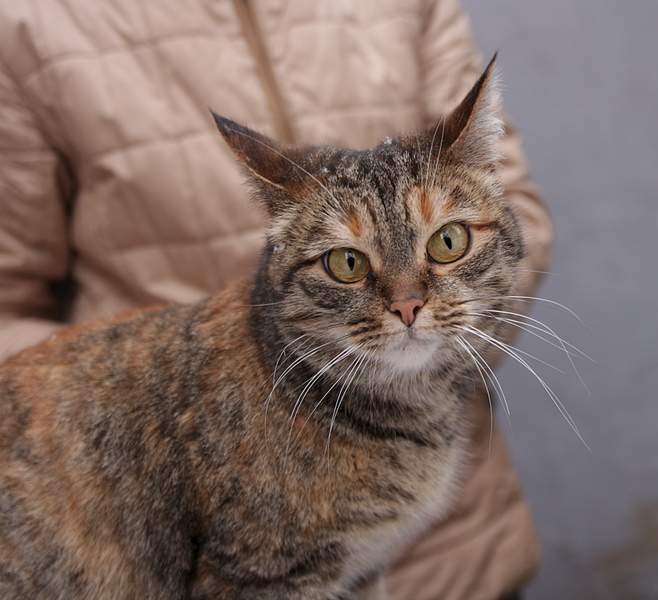 1920 X 1750 829.2 Kb  ,    .