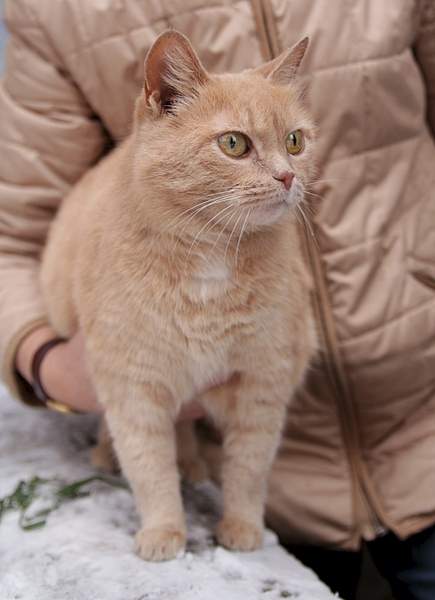 1920 X 2648 1015.7 Kb  ,    .