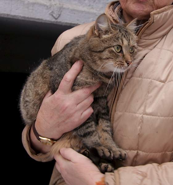 1920 X 2052 869.6 Kb  ,    .