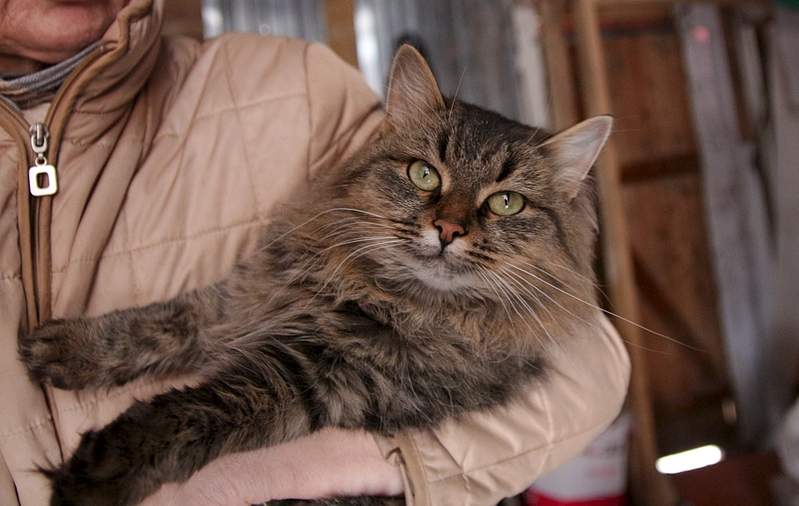 1920 X 1216 771.7 Kb   .