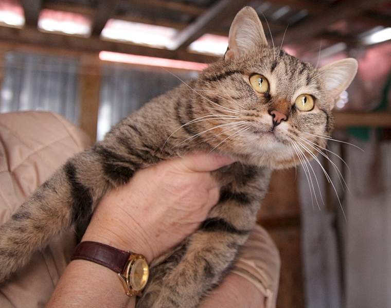 1920 X 1514 972.7 Kb   .