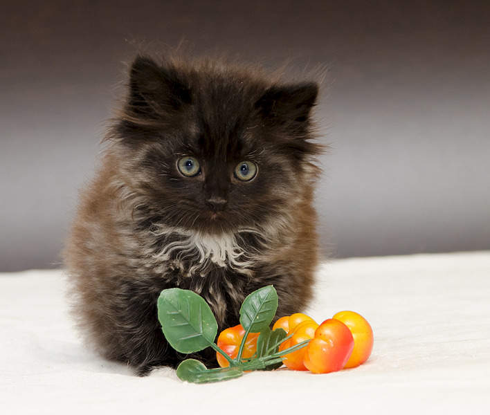 1920 X 1625 582.3 Kb  . - , .    .