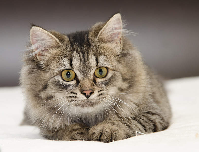 1920 X 1469 632.8 Kb 1920 X 1384 662.6 Kb   .   .