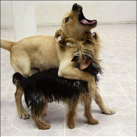 450 x 451 Улыбнемся?