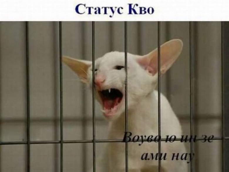 780 x 586 353 x 500 Улыбнемся?