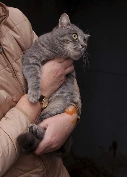 1554 X 2166 714.3 Kb      .