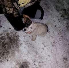 1920 X 1902 211.9 Kb 1452 X 1380 926.5 Kb    