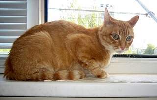 894 X 570 149.9 Kb     .