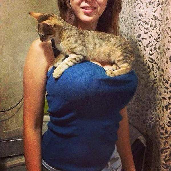 640 X 640  58.8 Kb Улыбнемся?