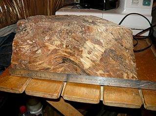 1306 X 979 246.8 Kb 1306 X 979 193.5 Kb     , ,  . .