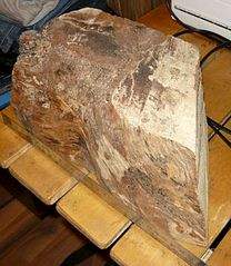 308 X 354 32.7 Kb 1306 X 979 246.8 Kb 1306 X 979 193.5 Kb     , ,  . .