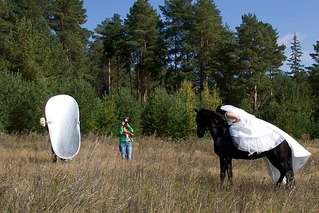 604 X 403 77.1 Kb 402 X 604 99.9 Kb Лошади для фотсессий.