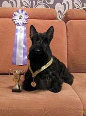 1920 X 2603 431.6 Kb  