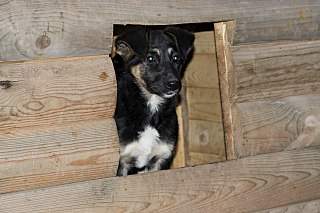 1280 X 852 203.5 Kb 1280 X 853 238.6 Kb  -   