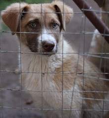 843 X 917 112.3 Kb  -   