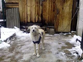 1280 X 960 213.5 Kb  -   