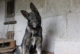 604 X 403 60.6 Kb 604 X 403 61.8 Kb  -   