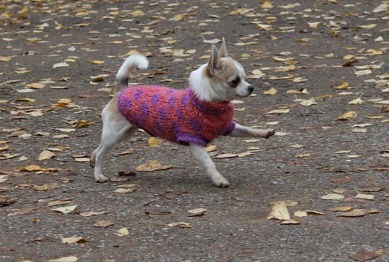 1280 X 864 310.4 Kb  ! !