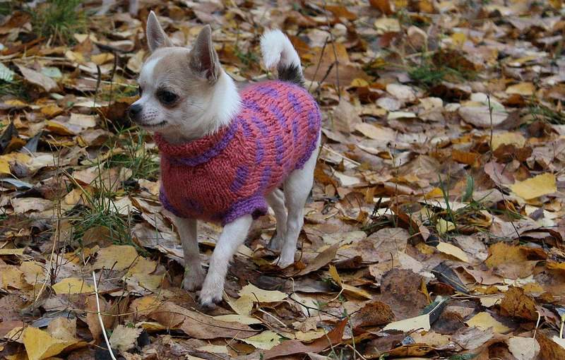 1280 X 816 327.8 Kb 1280 X 864 310.4 Kb  ! !