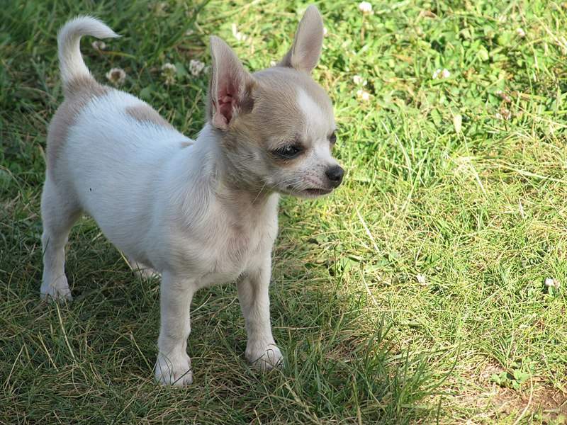 1920 X 1440 779.4 Kb 1280 X 816 327.8 Kb 1280 X 864 310.4 Kb  ! !