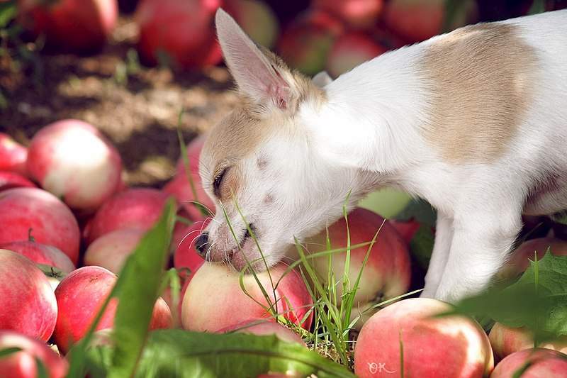 1200 X 800 152.9 Kb 1920 X 1440 779.4 Kb 1280 X 816 327.8 Kb 1280 X 864 310.4 Kb  ! !