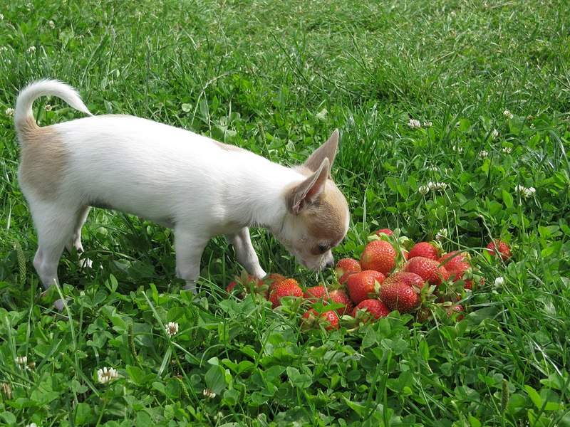 1280 X 960 389.2 Kb 1200 X 800 152.9 Kb 1920 X 1440 779.4 Kb 1280 X 816 327.8 Kb 1280 X 864 310.4 Kb  ! !