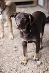 682 X 1024 88.1 Kb 703 X 1024 121.6 Kb  -   