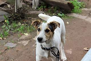 1280 X 853 155.6 Kb  -   