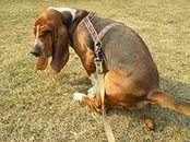 174 x 130 06.11.2014 40   