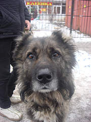 768 X 1024 332.7 Kb 768 X 1024 317.0 Kb 786 X 768 232.1 Kb  !  !